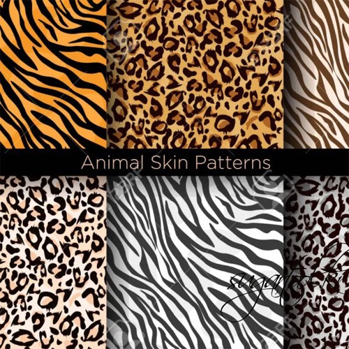 [Animal Skin] 유니크한 디자인을 위한 동물 가죽 패턴 스텐실  4종 셋트