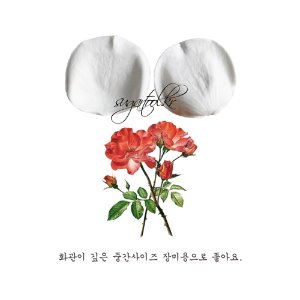 [sugartool] 싱싱한 장미 꽃잎 베이너